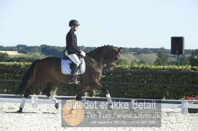 Blue Hors Dressur championat 2018
4 års klassen
Nøgleord: don corleone;marcos lukas w larsen