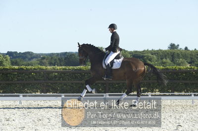 Blue Hors Dressur championat 2018
4 års klassen
Nøgleord: don corleone;marcos lukas w larsen