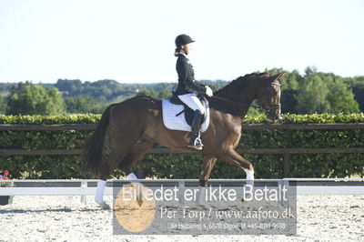 Blue Hors Dressur championat 2018
4 års klassen
Nøgleord: don antello;sela lund