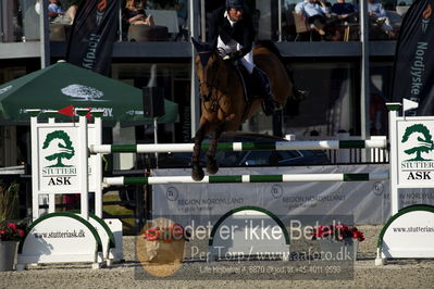 csio3 a1 150cm
Showjumping
Nøgleord: arnaud doem;edgard de prefontaine