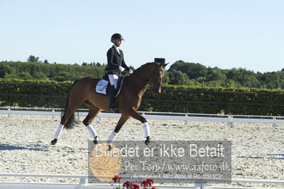 Blue Hors Dressur championat 2018
4 års klassen
Nøgleord: karen bruun;vega