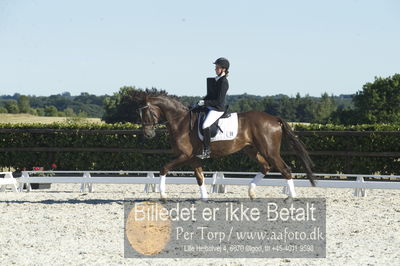 Blue Hors Dressur championat 2018
4 års klassen
Nøgleord: don antello;sela lund