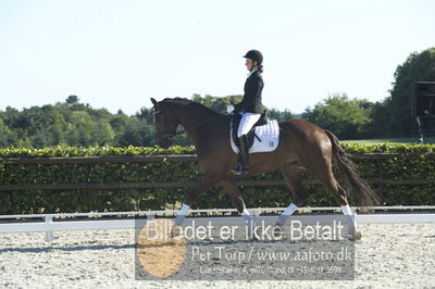 Blue Hors Dressur championat 2018
4 års klassen
Nøgleord: don antello;sela lund