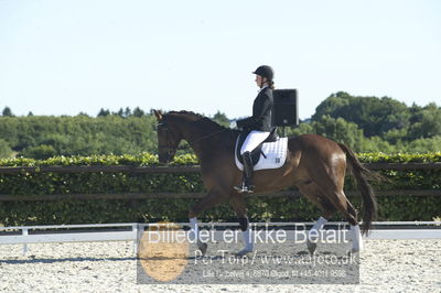 Blue Hors Dressur championat 2018
4 års klassen
Nøgleord: don antello;sela lund