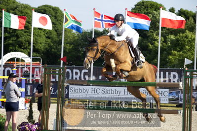 csio3 a1 150cm
Showjumping
Nøgleord: richard howley;electra b