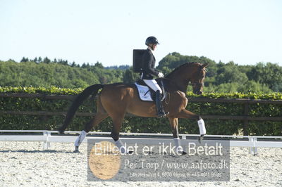 Blue Hors Dressur championat 2018
4 års klassen
Nøgleord: karen bruun;vega