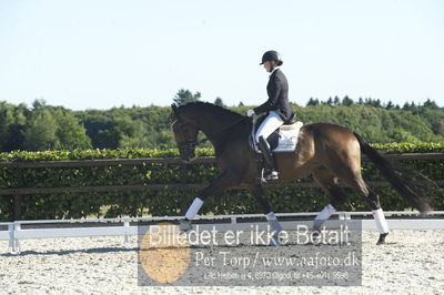 Blue Hors Dressur championat 2018
4 års klassen
Nøgleord: maria anita andersen;vestervangs zerlimo