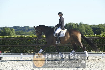 Blue Hors Dressur championat 2018
4 års klassen
Nøgleord: maria anita andersen;vestervangs zerlimo