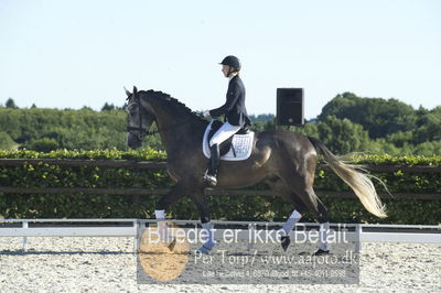 Blue Hors Dressur championat 2018
4 års klassen
Nøgleord: zendro-høm;iben meldgaard hegarty