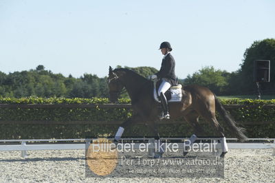 Blue Hors Dressur championat 2018
4 års klassen
Nøgleord: maria anita andersen;vestervangs zerlimo