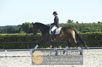 Blue Hors Dressur championat 2018
4 års klassen
Nøgleord: maria anita andersen;vestervangs zerlimo