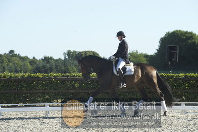 Blue Hors Dressur championat 2018
4 års klassen
Nøgleord: maria anita andersen;vestervangs zerlimo