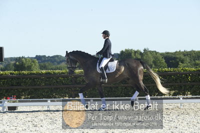 Blue Hors Dressur championat 2018
4 års klassen
Nøgleord: zendro-høm;iben meldgaard hegarty