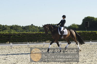 Blue Hors Dressur championat 2018
4 års klassen
Nøgleord: nanna berg christensen;sødovergårds gaxebo