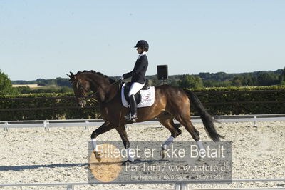 Blue Hors Dressur championat 2018
4 års klassen
Nøgleord: nanna berg christensen;sødovergårds gaxebo