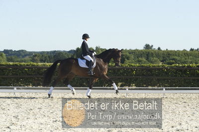 Blue Hors Dressur championat 2018
4 års klassen
Nøgleord: nanna berg christensen;sødovergårds gaxebo