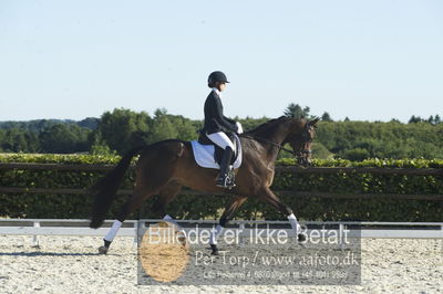 Blue Hors Dressur championat 2018
4 års klassen
Nøgleord: nanna berg christensen;sødovergårds gaxebo