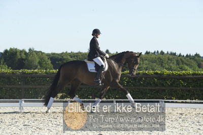 Blue Hors Dressur championat 2018
4 års klassen
Nøgleord: maria anita andersen;vestervangs zerlimo