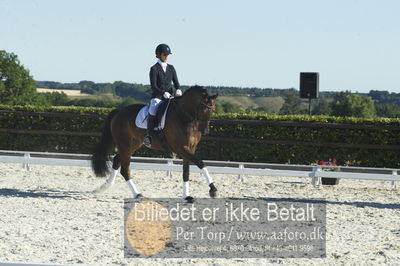 Blue Hors Dressur championat 2018
4 års klassen
Nøgleord: nanna berg christensen;sødovergårds gaxebo