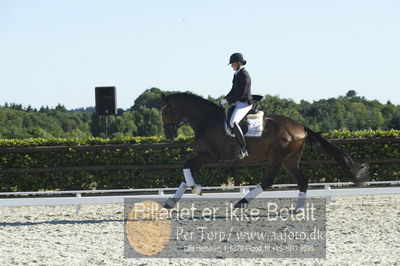 Blue Hors Dressur championat 2018
4 års klassen
Nøgleord: maria anita andersen;vestervangs zerlimo