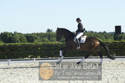 Blue Hors Dressur championat 2018
4 års klassen
Nøgleord: maria anita andersen;vestervangs zerlimo