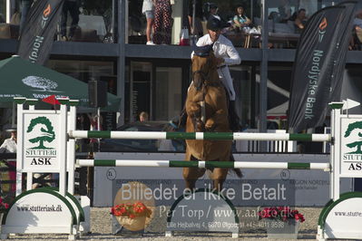 Csio3 two phsaes   140cm
Showjumping
