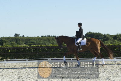 Blue Hors Dressur championat 2018
4 års klassen
Nøgleord: trine weiland;mai zooro