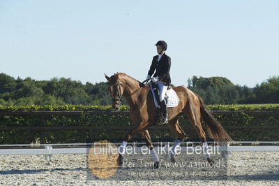 Blue Hors Dressur championat 2018
4 års klassen
Nøgleord: trine weiland;mai zooro