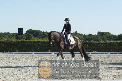 Blue Hors Dressur championat 2018
4 års klassen
Nøgleord: fashion rose;michaela navrsted