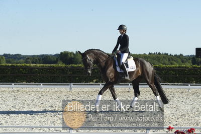 Blue Hors Dressur championat 2018
4 års klassen
Nøgleord: fashion rose;michaela navrsted