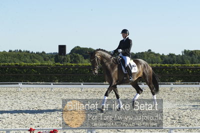 Blue Hors Dressur championat 2018
4 års klassen
Nøgleord: marie krabbe;svalegårds hot diva