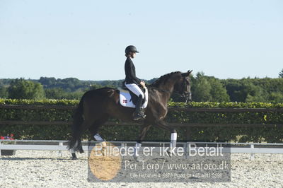 Blue Hors Dressur championat 2018
4 års klassen
Nøgleord: fashion rose;michaela navrsted