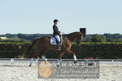 Blue Hors Dressur championat 2018
4 års klassen
Nøgleord: trine weiland;mai zooro