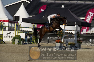 csio3 a1 150cm
Showjumping
Nøgleord: gitte dahl;conan