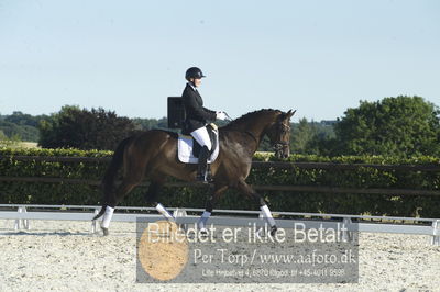 Blue Hors Dressur championat 2018
4 års klassen
Nøgleord: marie krabbe;svalegårds hot diva