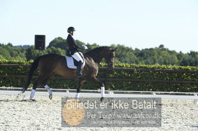 Blue Hors Dressur championat 2018
4 års klassen
Nøgleord: marie krabbe;svalegårds hot diva