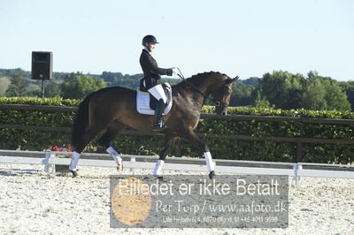 Blue Hors Dressur championat 2018
4 års klassen
Nøgleord: marie krabbe;svalegårds hot diva