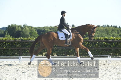 Blue Hors Dressur championat 2018
4 års klassen
Nøgleord: trine weiland;mai zooro