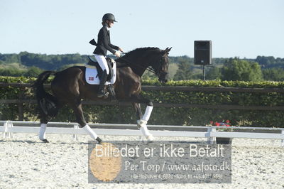 Blue Hors Dressur championat 2018
4 års klassen
Nøgleord: fashion rose;michaela navrsted