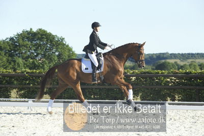 Blue Hors Dressur championat 2018
4 års klassen
Nøgleord: trine weiland;mai zooro