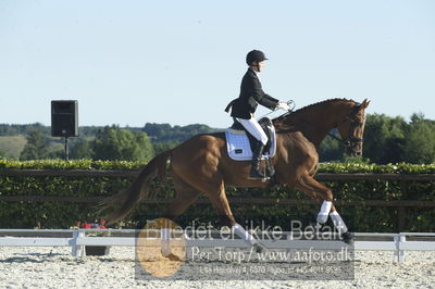 Blue Hors Dressur championat 2018
4 års klassen
Nøgleord: trine weiland;mai zooro