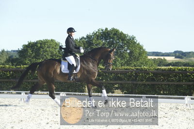 Blue Hors Dressur championat 2018
4 års klassen
Nøgleord: marie krabbe;svalegårds hot diva