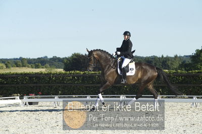 Blue Hors Dressur championat 2018
4 års klassen
Nøgleord: marie krabbe;svalegårds hot diva