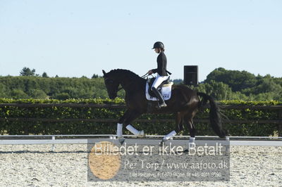 Blue Hors Dressur championat 2018
4 års klassen
Nøgleord: fashion rose;michaela navrsted