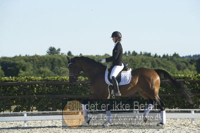 Blue Hors Dressur championat 2018
4 års klassen
Nøgleord: picota;ida hoffman-bang