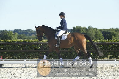 Blue Hors Dressur championat 2018
4 års klassen
Nøgleord: bruuns zelfie;caroline hansen