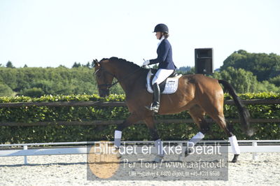 Blue Hors Dressur championat 2018
4 års klassen
Nøgleord: bruuns zelfie;caroline hansen