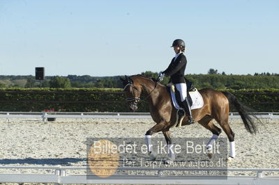 Blue Hors Dressur championat 2018
4 års klassen
Nøgleord: bruuns zelfie;caroline hansen