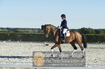 Blue Hors Dressur championat 2018
4 års klassen
Nøgleord: bruuns zelfie;caroline hansen