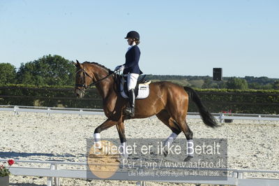 Blue Hors Dressur championat 2018
4 års klassen
Nøgleord: bruuns zelfie;caroline hansen